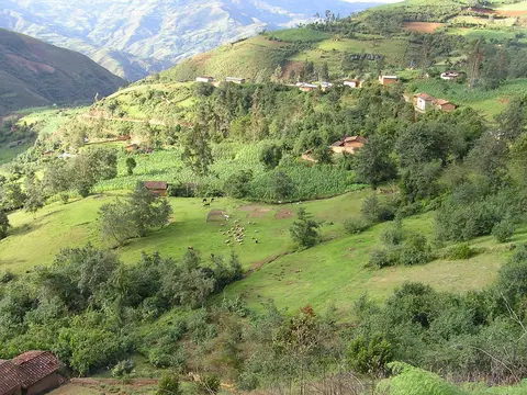 jara cantunchu uyshakuna